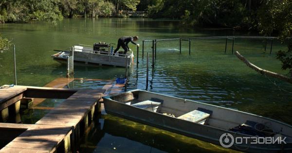 Ellie Schiller Homosassa Springs Wildlife State Park