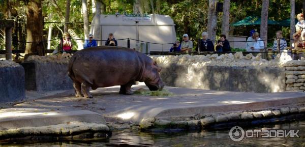 Ellie Schiller Homosassa Springs Wildlife State Park