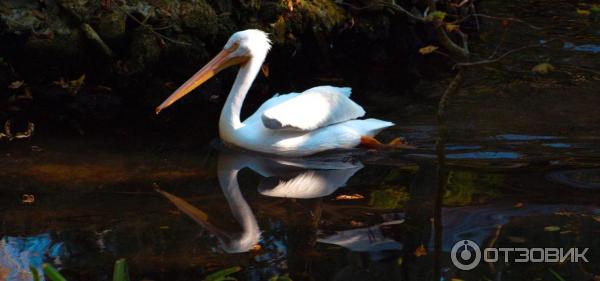 Ellie Schiller Homosassa Springs Wildlife State Park