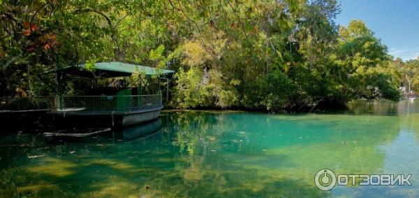 Ellie Schiller Homosassa Springs Wildlife State Park