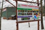 Парк семейного отдыха и экотуризма Зубровник (Россия, Токсово) фото