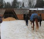 Парк семейного отдыха и экотуризма Зубровник (Россия, Токсово) фото