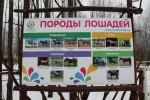 Парк семейного отдыха и экотуризма Зубровник (Россия, Токсово) фото
