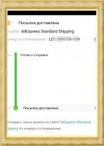 Служба доставки AliExpress standard shipping (Россия, Москва) фото