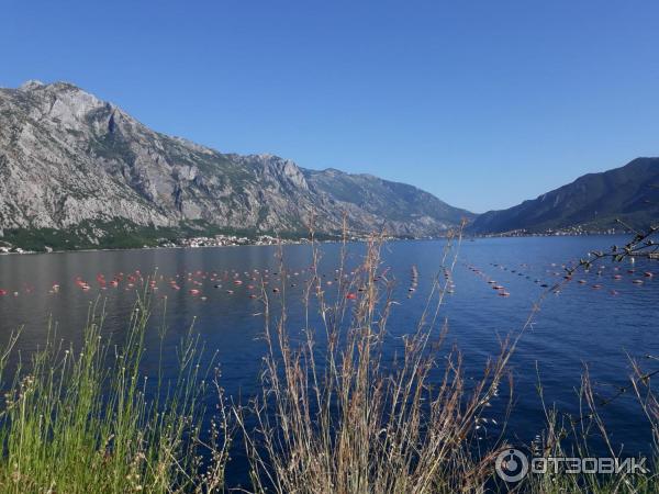 водяные дорожки в бухте