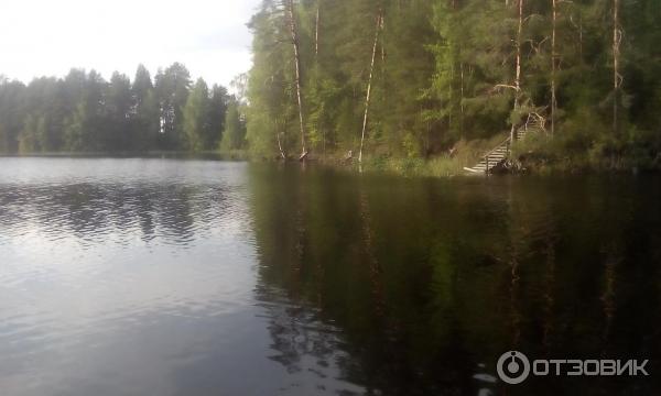 Островок, на который можно добраться вплавь.