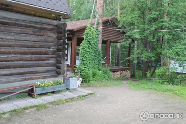 Музей-заповедник Ялкала (Россия, Ленинградская область) фото