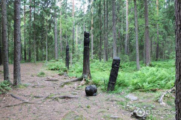 Музей-заповедник Ялкала (Россия, Ленинградская область) фото