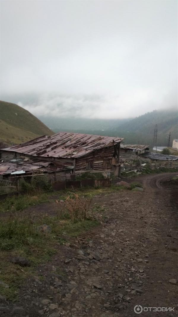 Девичьи косы 1