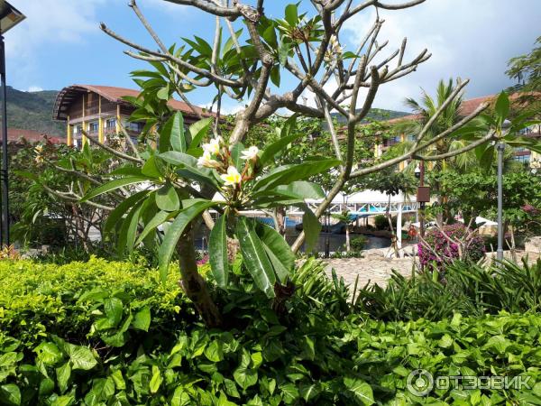 Отель The St. Regis Sanya Yalong Bay Resort 5* (Китай, Санья) фото