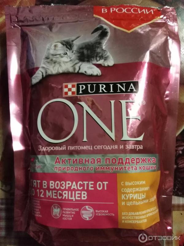 Корм для котят Purina One фото