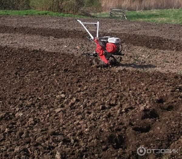 Вспахать Огород Трактором Цена За Сотку