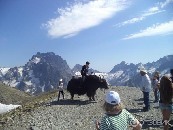 Канатная дорога в пос. Домбай (Россия, Карачаево-Черкессия) фото