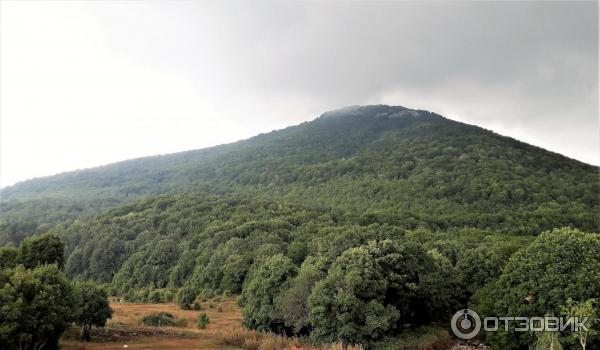 Экскурсия в национальный парк Дайти (Албания, Тирана) фото