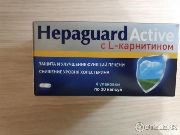 Гепагард актив инструкция по применению отзывы. БАД для печени гепагард. Гепагард инструкция. Гепагард Актив инструкция по применению. Гепагард 120.