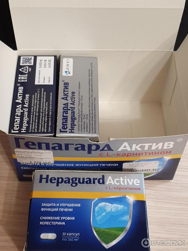 Гепагард актив инструкция по применению отзывы. Гепагард 120. Гепагард Актив. БАД для печени гепагард. Гепагард Актив отзывы.