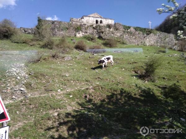 Гелатский монастырь (Грузия, Кутаиси) фото