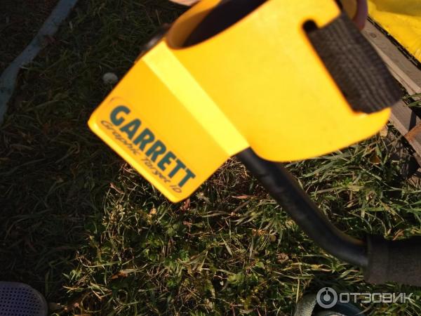 Garrett Ace 250 Купить На Авито