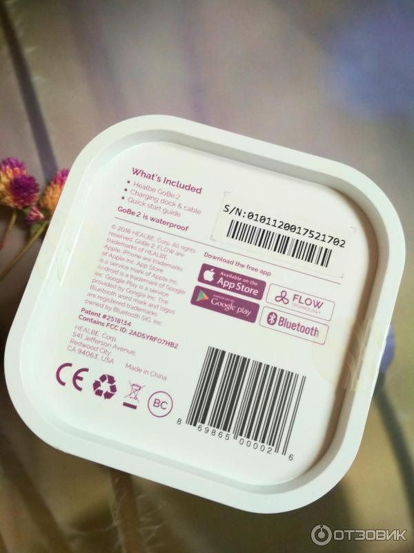 Фитнес-браслет Healbe GoBe 2 фото
