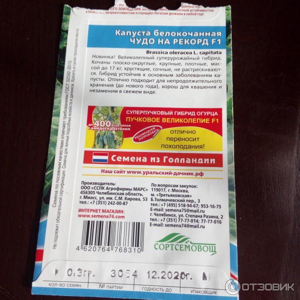 Капуста чудо ультрараннее отзывы. Капуста белокочанная чудо на рекорд f1. Семена капуста чудо на рекорд. Капуста чудо семена. Капуста чудо на рекорд описание сорта.