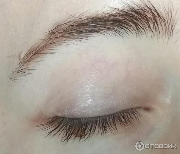 Сыворотка для роста бровей и ресниц TopLash Lash and Brow Booster фото