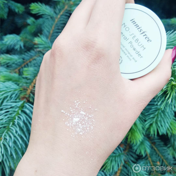 Пудра рассыпчатая Innisfree No sebum mineral Powder фото