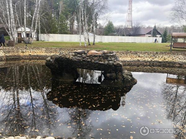 Гостиничный комплекс Серебряный Бор в с. Подгородка (Россия, Омская область) фото