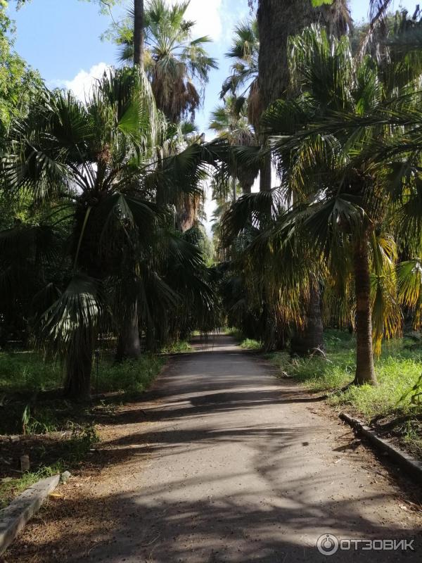 Ботанический сад Палермо Orto Botanico di Palermo (Италия, Сицилия)