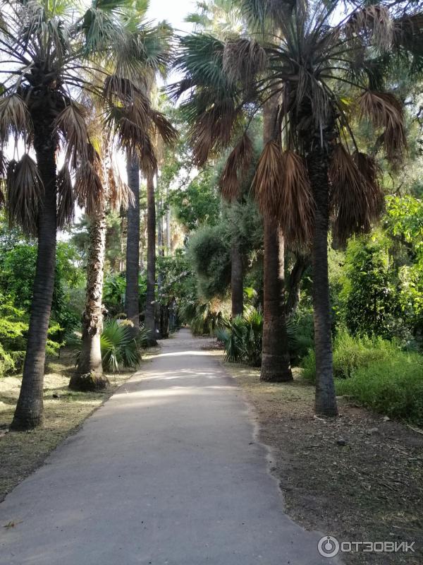 Ботанический сад Палермо Orto Botanico di Palermo (Италия, Сицилия)