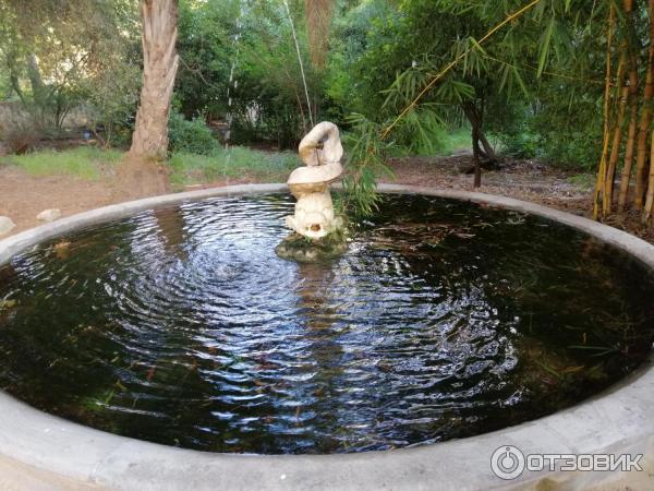 Ботанический сад Палермо Orto Botanico di Palermo (Италия, Сицилия)