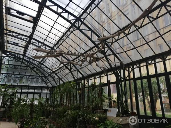 Ботанический сад Палермо Orto Botanico di Palermo (Италия, Сицилия)