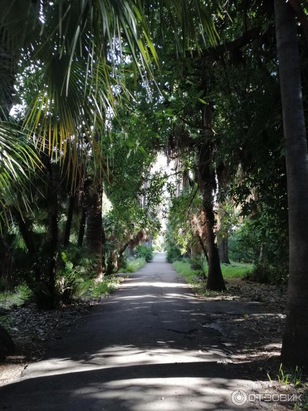 Ботанический сад Палермо Orto Botanico di Palermo (Италия, Сицилия)