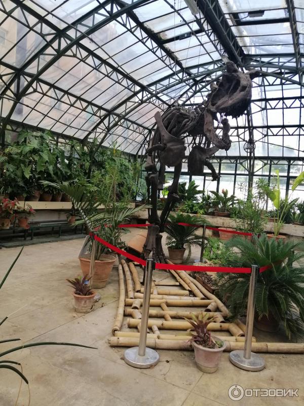 Ботанический сад Палермо Orto Botanico di Palermo (Италия, Сицилия)