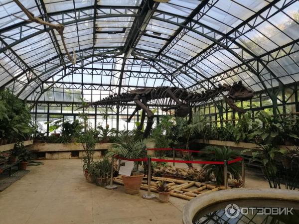 Ботанический сад Палермо Orto Botanico di Palermo (Италия, Сицилия)