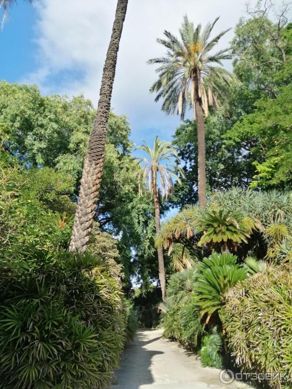 Ботанический сад Палермо Orto Botanico di Palermo (Италия, Сицилия)