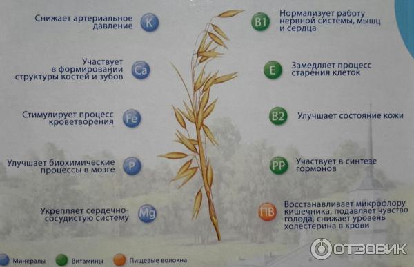 Цельное зерно Русский продукт Геркулес Деревенский фото