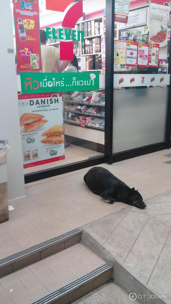 магазин 7-Eleven