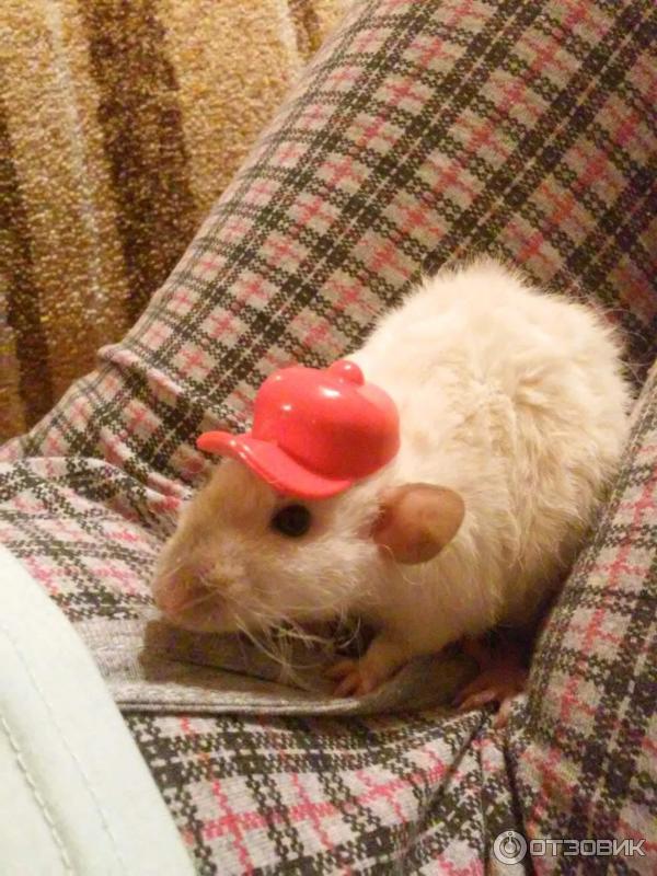 Ответы Mail.ru: Если я тебе такое подарю) то через сколько времени ты меня пошле