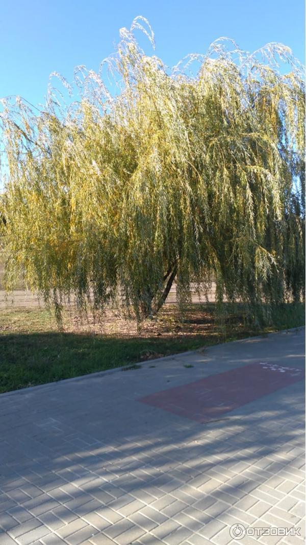Рыбалка в Таганрогском заливе (Россия, Таганрог) фото
