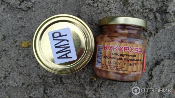 Кукуруза