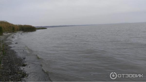 Рыбалка в Таганрогском заливе (Россия, Таганрог) фото