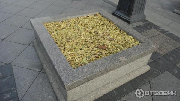 Камергерский переулок (Россия, Москва) фото