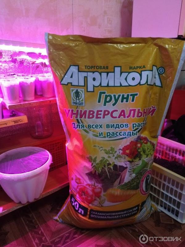Отзыв о Грунт Агрикола Универсальный | Букашки в грунте.
