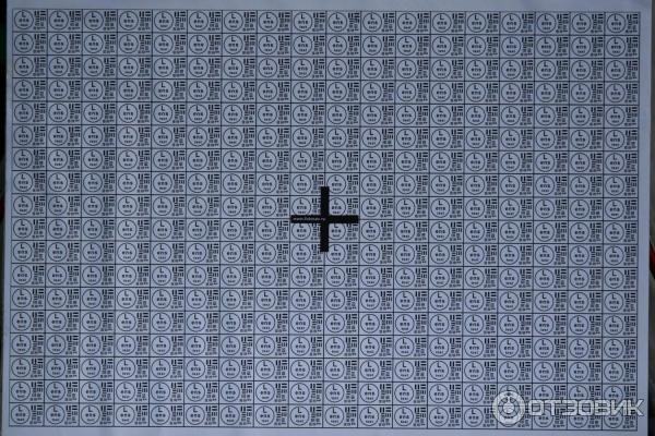 снимок миры на фр 200 мм F2.8 объективом Tamron
