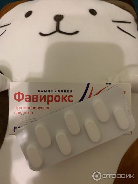 Фавирокс для кошек