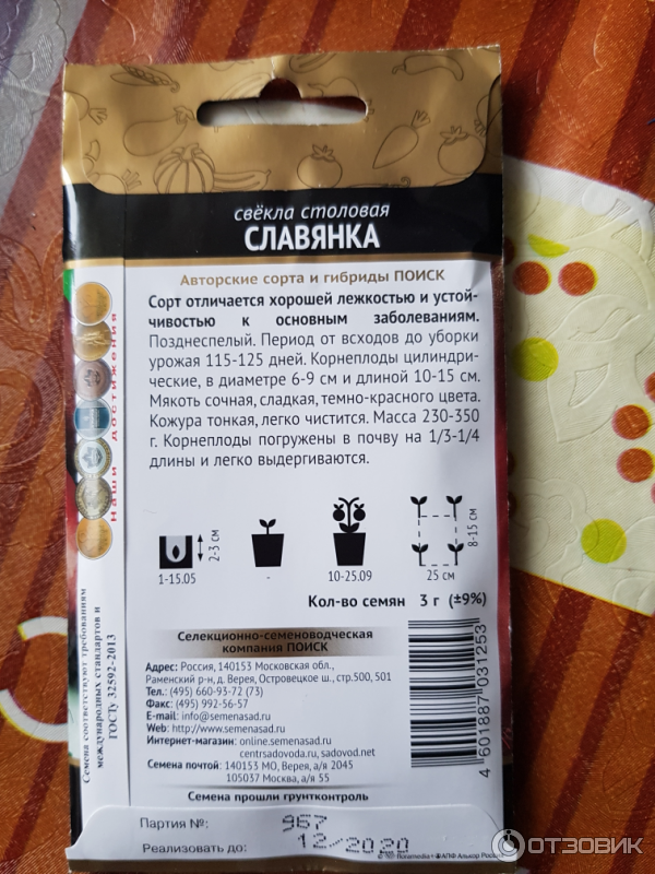 Свекла Славянка Описание Сорта Фото