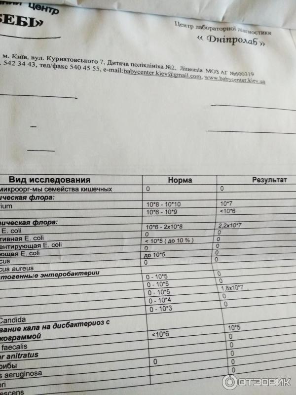 Фрунзе 84 Новосибирск Анализы На Паразитов Цена