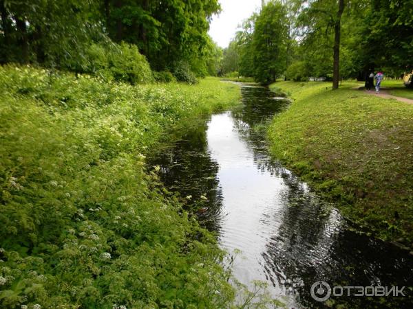 Екатерининский парк в городе Пушкин (Россия, Санкт-Петербург) фото