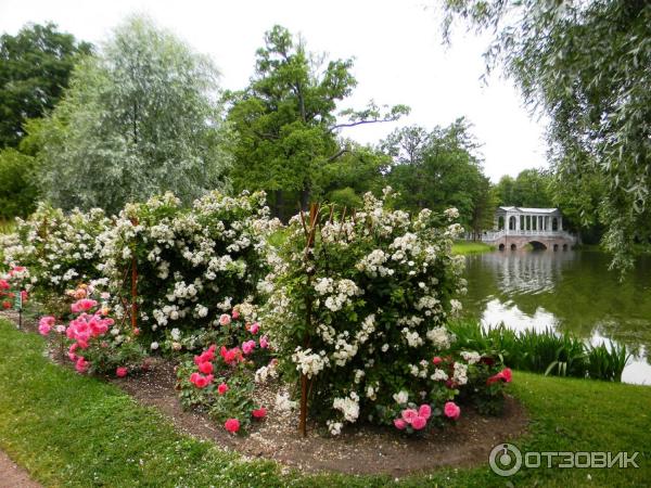 Екатерининский парк в городе Пушкин (Россия, Санкт-Петербург) фото