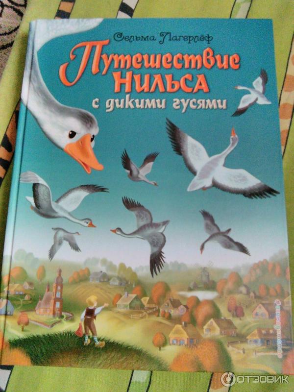 Лагерлеф путешествие нильса по швеции. Сельма лагерлёф приключения Нильса с дикими гусями. Сельма Лагерлеф чудесное путешествие с дикими гусями. Чудесное путешествие Нильса с дикими гусями Сельма лагерлёф книга. Чудесное путешествие Нильса Хольгерссона по Швеции.